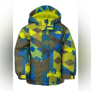 North Face Winter/Snow Jacket